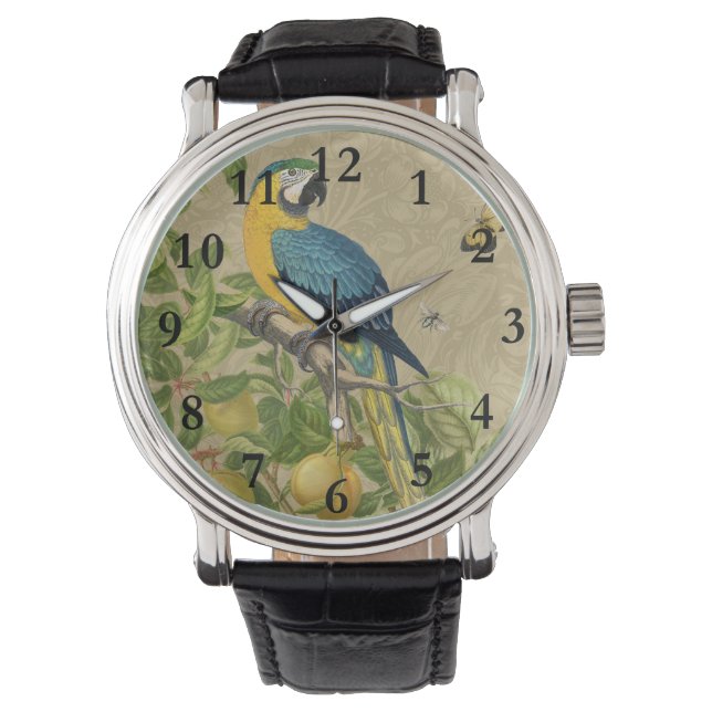 Macaw Blue Yellow Tropical Jungle Antique Watch (Front)