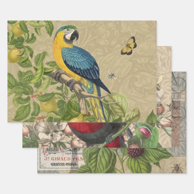 Macaw Blue Yellow Tropical Jungle Antique Wrapping Paper Sheet (Set)