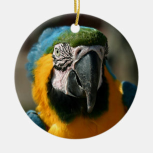 Macaw Ceramic Ornament