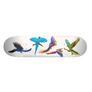 Macaw Crazy Skateboard