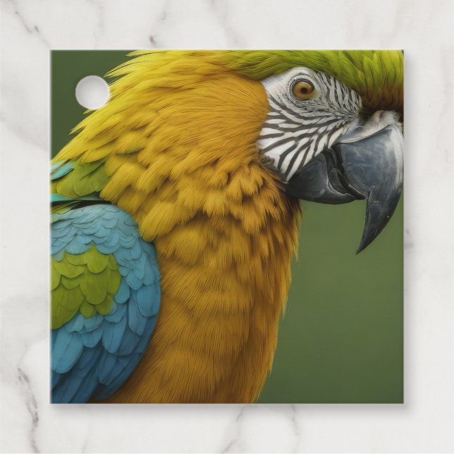  Macaw Favour Tags (Front)