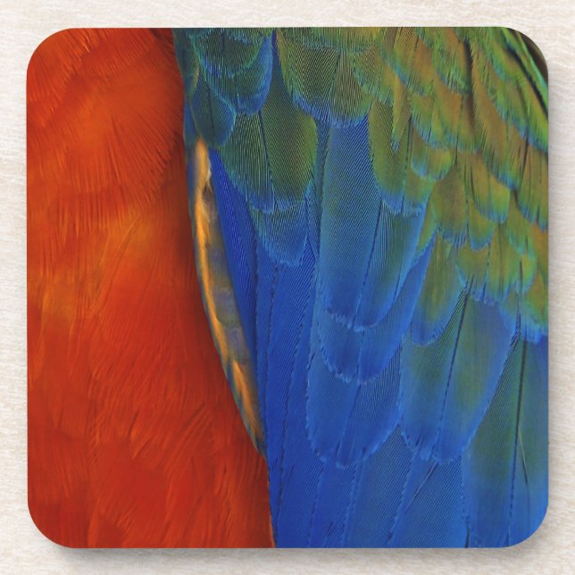 Macaw Feathers Coaster (Front)
