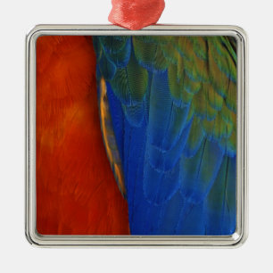 Macaw Feathers Metal Ornament
