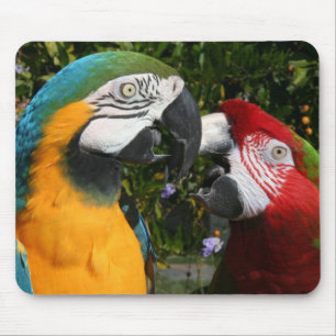 Macaw Friends Mousepad