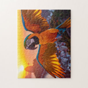 Macaw Jigsaw Puzzle
