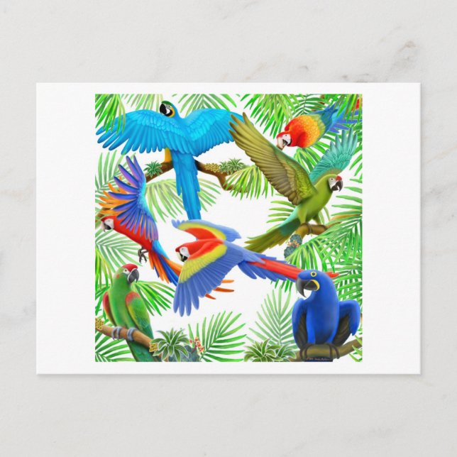 Macaw Jungle Postcard (Front)