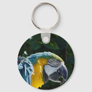 Macaw Key Chain