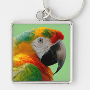 Macaw Keychain