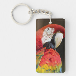 Macaw Keychain
