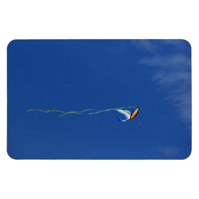 Macaw Kite Magnet (Horizontal)