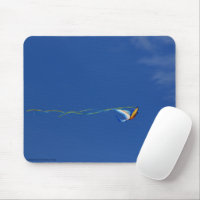 Macaw Kite