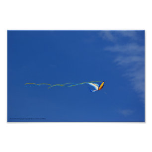 Macaw Kite Photo Print