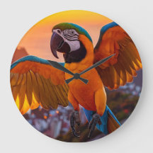 Macaw