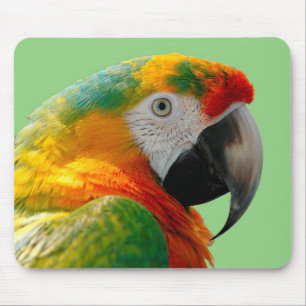 Macaw Mouse Pad