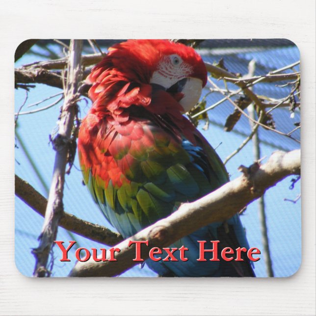 Macaw Mousepad (Front)