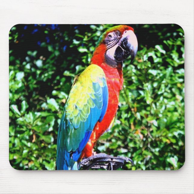 Macaw Mousepad (Front)