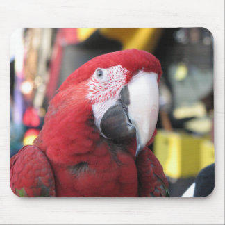 Macaw mousepad
