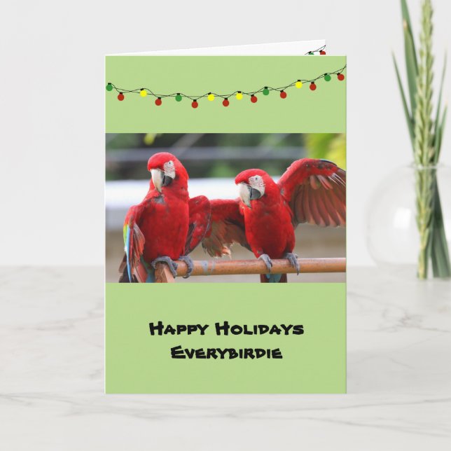 Macaw Pals Christmas Card, envelopes included Holiday Card (Front)