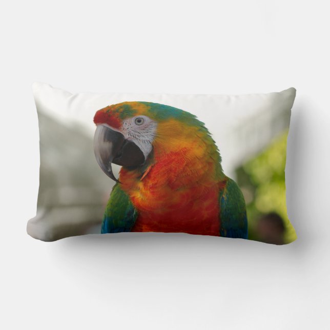 Macaw Parrot Bird Decorative Throw Pillow (Front)