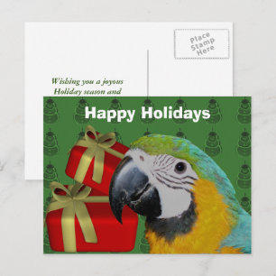 Macaw Parrot - Carte postale de Noël