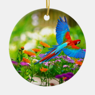 Macaw Parrot Ceramic Ornament