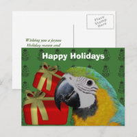 Macaw Parrot Christmas Holiday Postcard