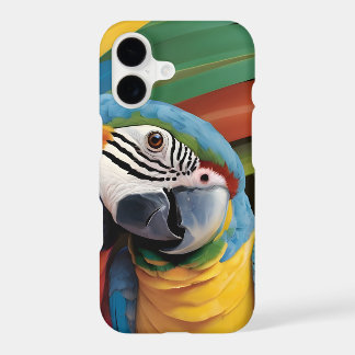 Macaw parrot couple moments