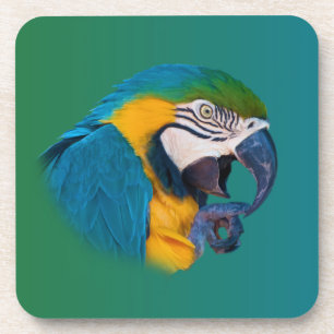 Macaw Parrot, Customizable Cork Coaster