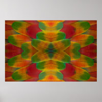 Macaw parrot feather kaleidoscope