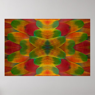 Macaw parrot feather kaleidoscope poster