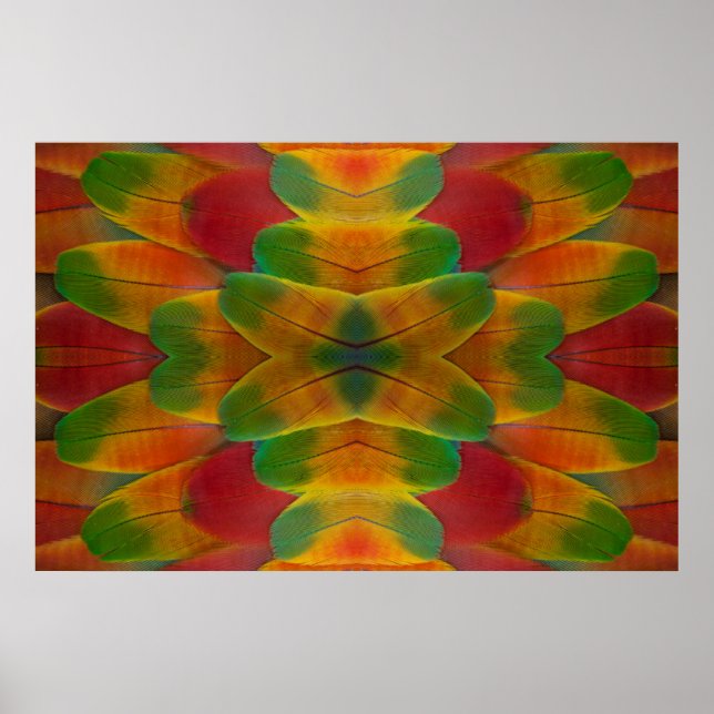 Macaw parrot feather kaleidoscope poster (Front)