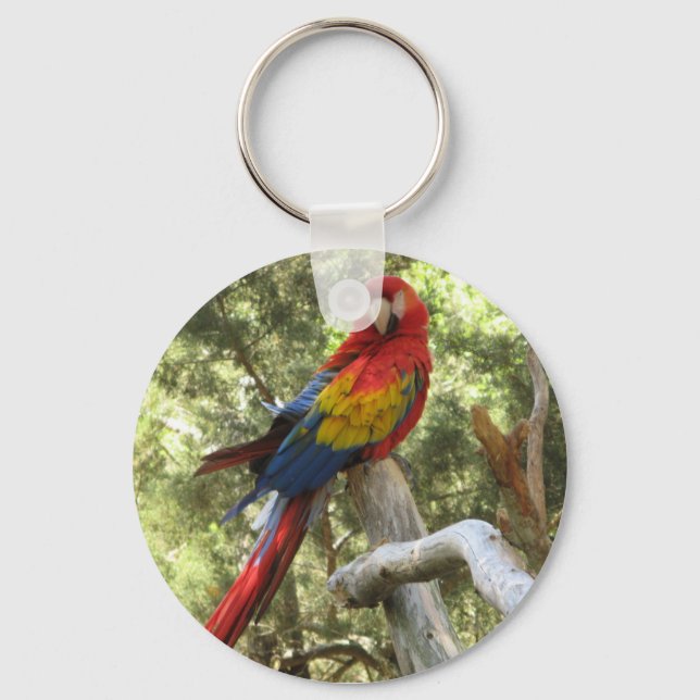 Macaw Parrot Keychain (Front)