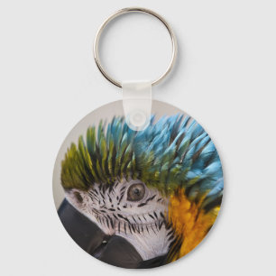 Macaw Parrot - Keychain
