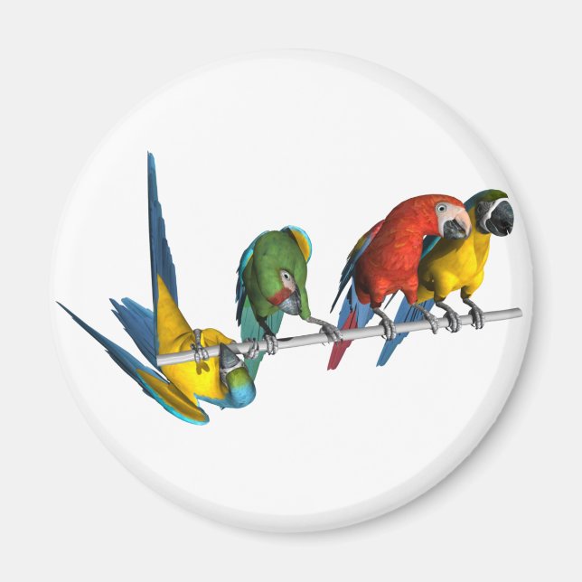 Macaw Parrot Magnet (Front)
