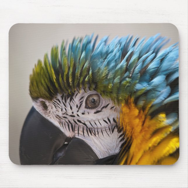 Macaw Parrot - Mousepad (Front)