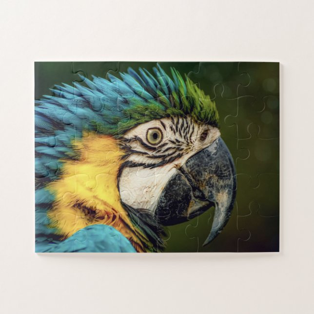 Macaw Parrot Oiseau Animal puzzle puzzle (Horizontal)