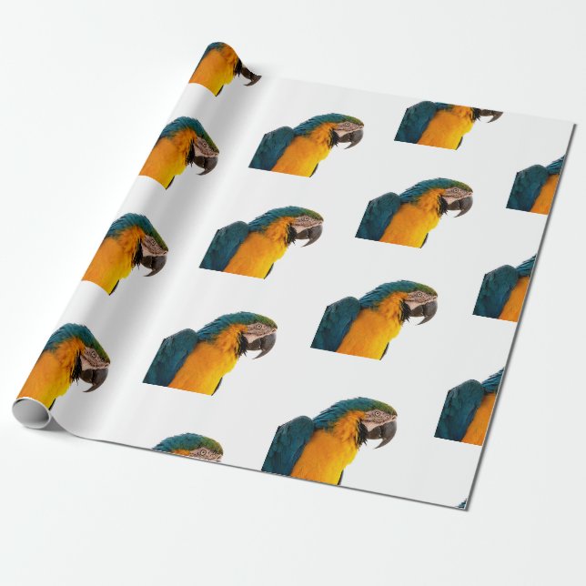 Macaw Parrot Photo Wrapping Paper (Unrolled)