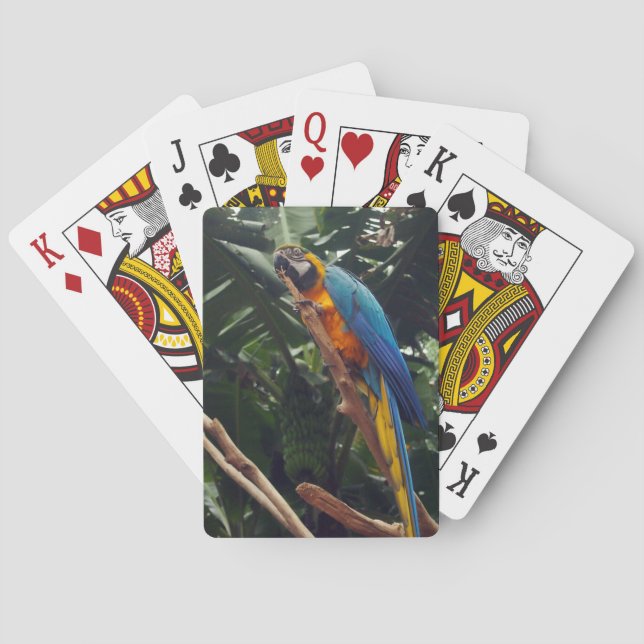 Macaw Parrot Playing Cards (Back)