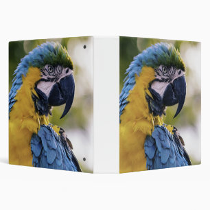 Macaw Parrot Profile Portrait Photograph Binder
