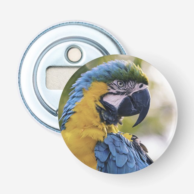 Macaw Parrot Profile Portrait Photograph Bottle Opener (Front)