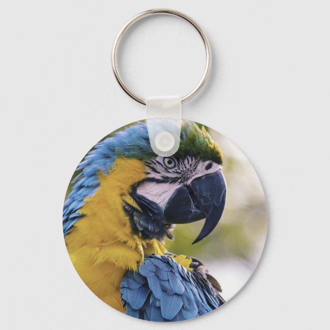 Macaw Parrot Profile Portrait Photograph Keychain (Front)