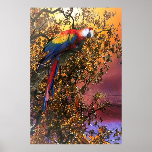 MACAW PARROT RAIN FOREST OUTPOST POSTER (Front)