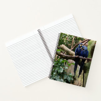 Macaw Parrot Spiral Notebook