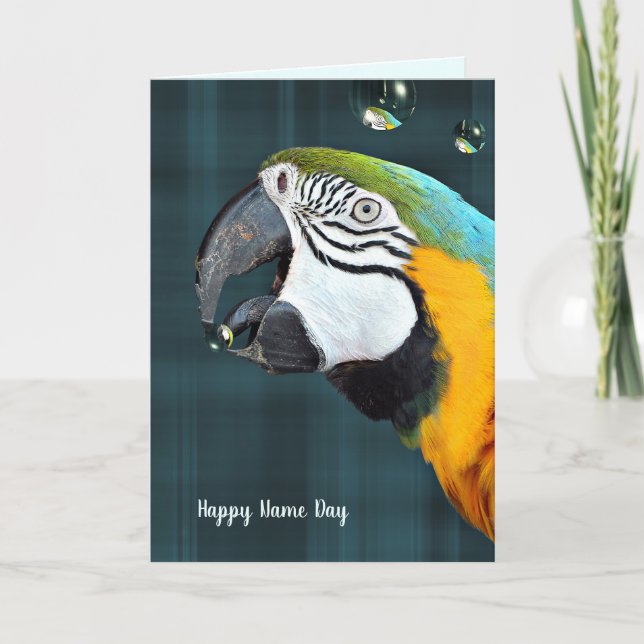 Macaw parrot with bubbles Name Day on plaid Card (Front)