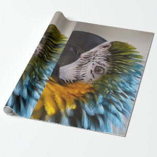 Macaw Parrot Wrapping Paper