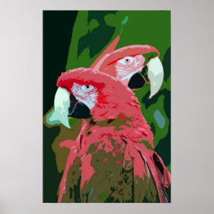 Macaw parrots abstract poster