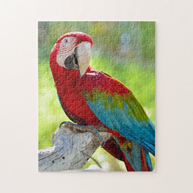Macaw sitting on branch jigsaw puzzle (Vertical)