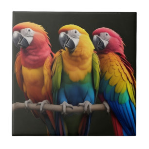 Macaw Tile