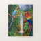 Macaw Tropical Parrots