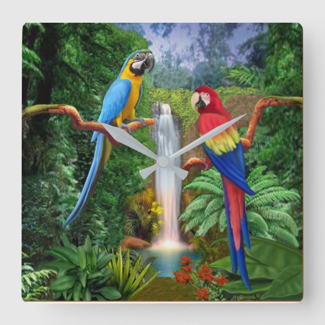 Macaw Tropical Parrots Square Wall Clock (Front)